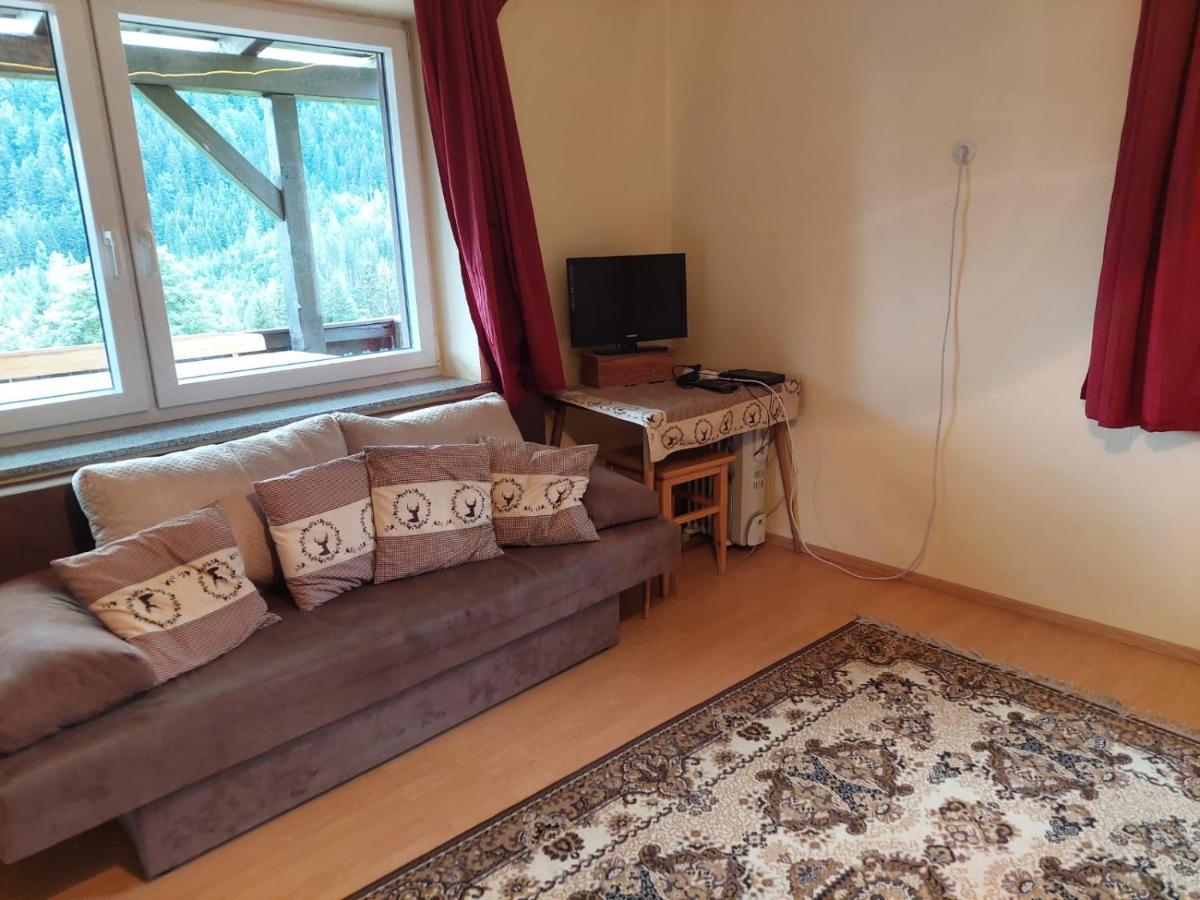 פרלאך Ferienwohnung Vertatschablick מראה חיצוני תמונה